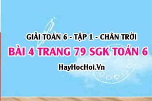 Giải bài 4 trang 79 Toán 6 Tập 1 SGK Chân trời sáng tạo